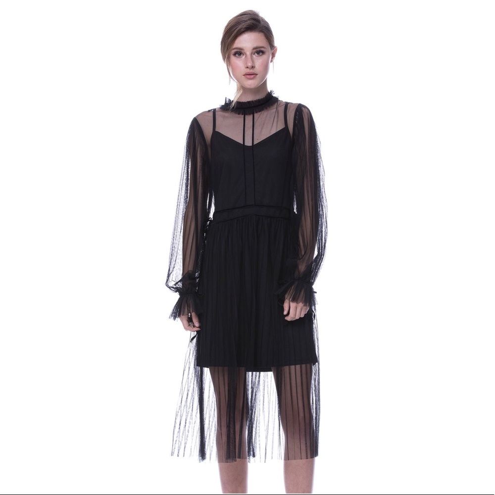 Mesh Dress with Velvet Toe and Cami Slip